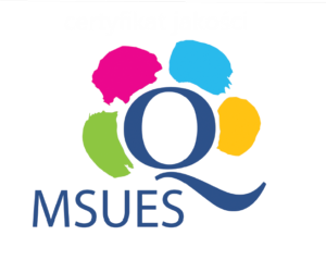 Certyfikat Jakości MSUES